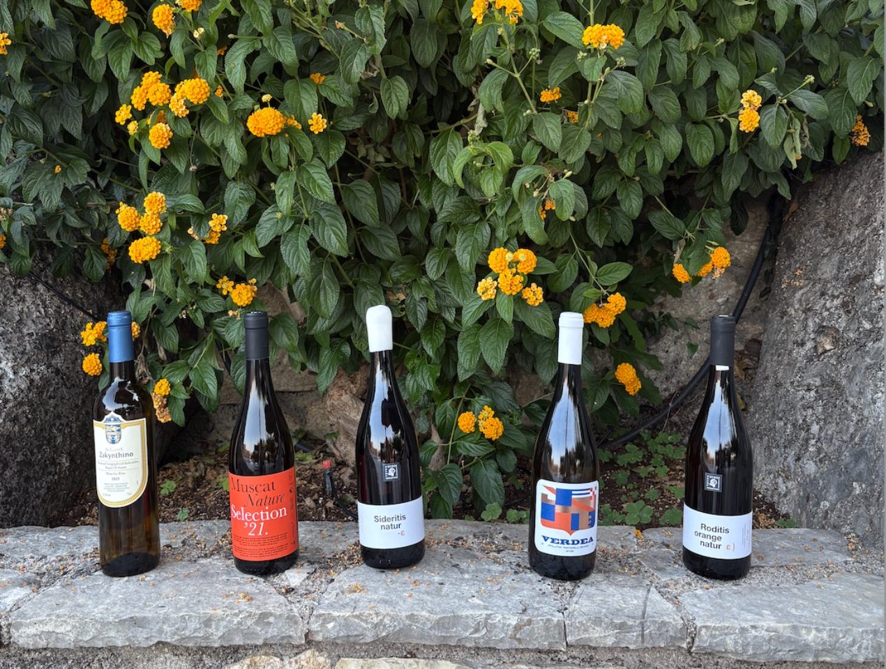 winewhere natural wines selection
