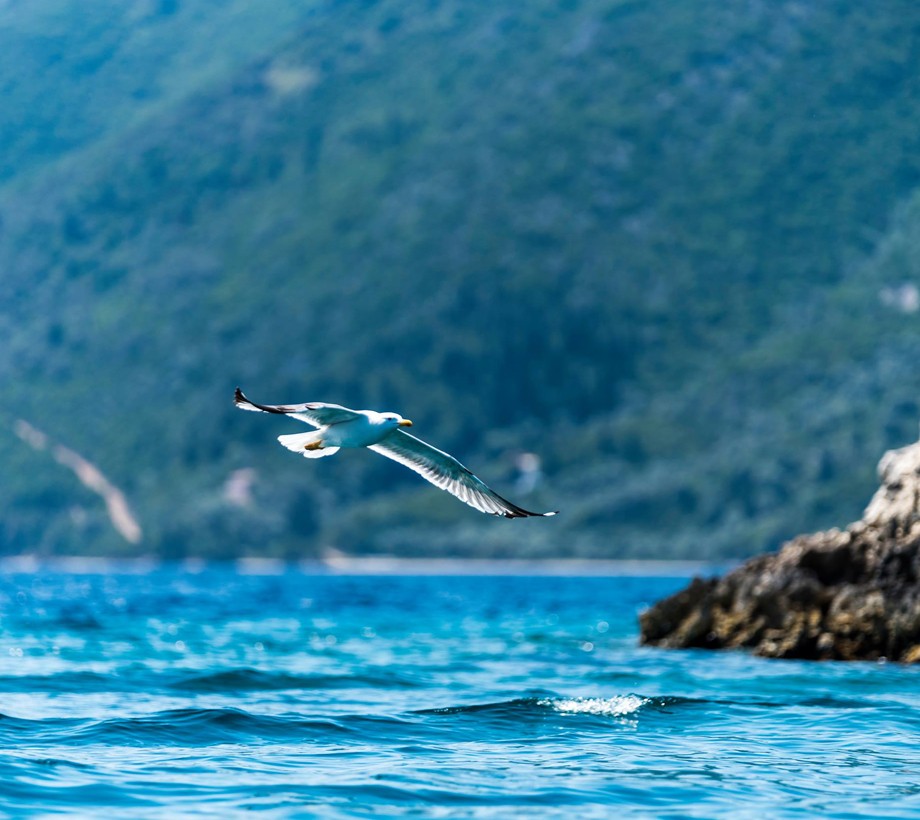 lefkada photo for winewhere